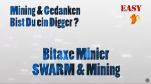 Bitaxe BM1366 SWARM & Mining [Pool | Solo] DE